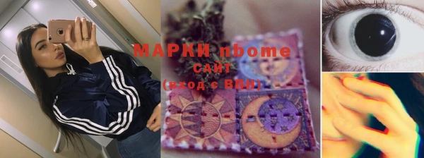 тгк Алзамай