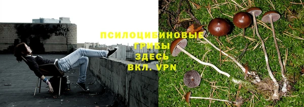 индика Алексеевка