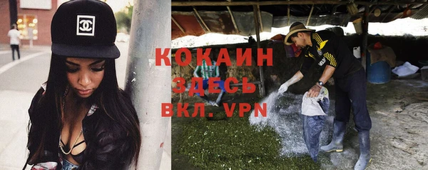 тгк Алзамай